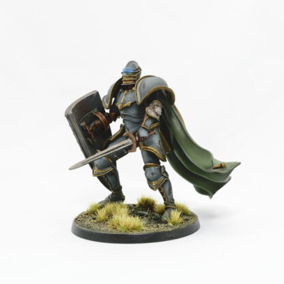 A sword view of a Missionary Mk II Praetorian with Sword & Kite Shield professionally painted to showcase its details.