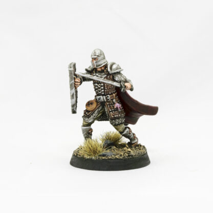 A view of a Knights of the Field Company Knight professionally painted to showcase its details.
