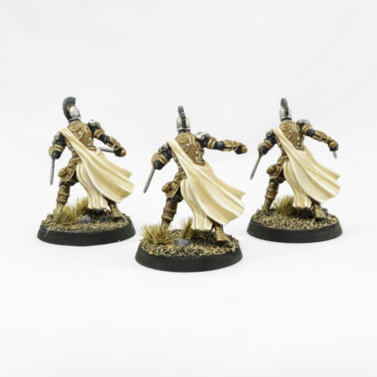 A rear view of an Ithican Imperial Legionnaire unit professionally painted to showcase its details.
